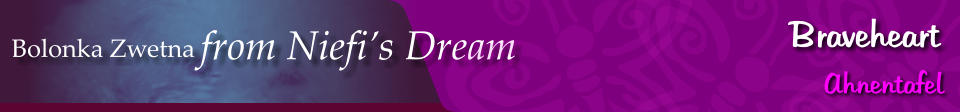 Bolonka Zwetna from Niefi’s Dream Braveheart Ahnentafel