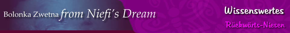 Bolonka Zwetna from Niefi’s Dream Wissenswertes Rückwärts-Niesen