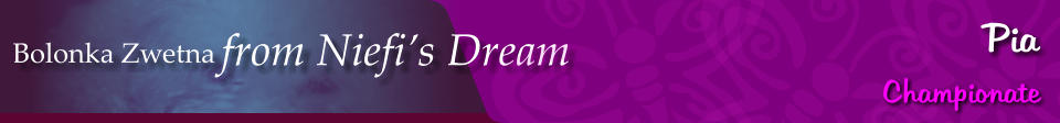 Bolonka Zwetna from Niefi’s Dream Pia Championate